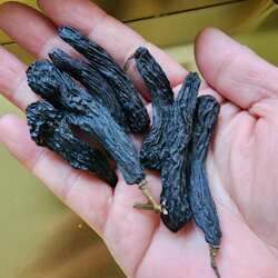 新疆哈密黑色大个长条 葡萄干大颗无籽黑玫瑰天然晾晒 提子包邮