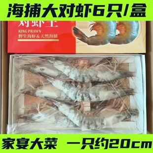 威海海鲜特产渤海湾海捕对虾6头礼盒装新鲜冷冻年货送礼搭配礼箱
