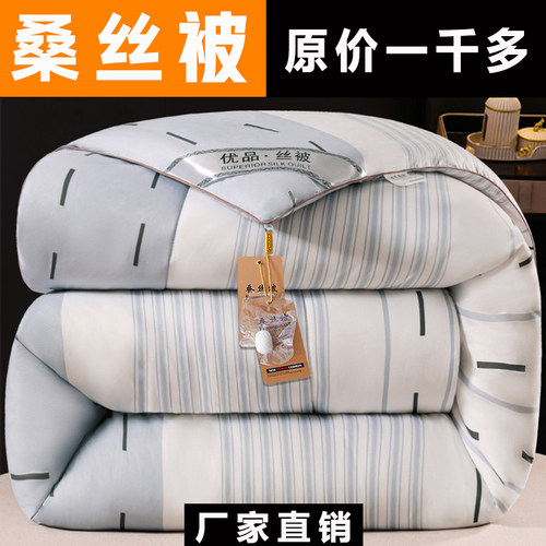 加厚桑丝被子冬被棉絮冬天保暖