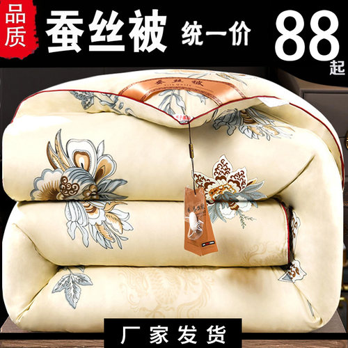 加厚保暖蚕丝被冬款冬季丝棉被芯
