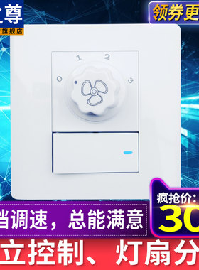 壁控带灯开关风扇灯壁控两用