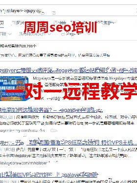 周周seo培训网站一对一教学