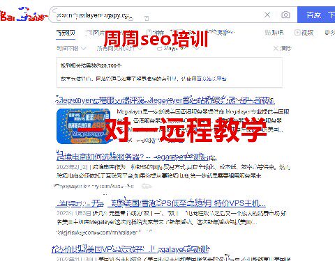 周周seo培训网站一对一教学