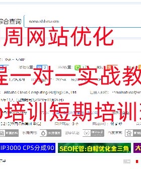 周周seo网站优化培训课程，远程教学！