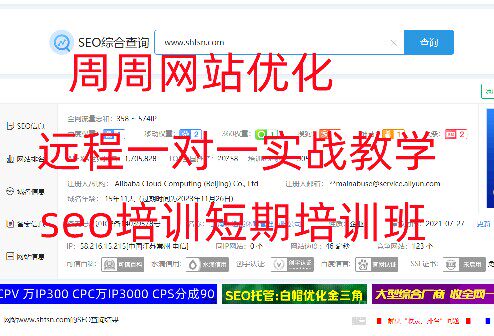 周周seo网站优化培训课程，远程教学！