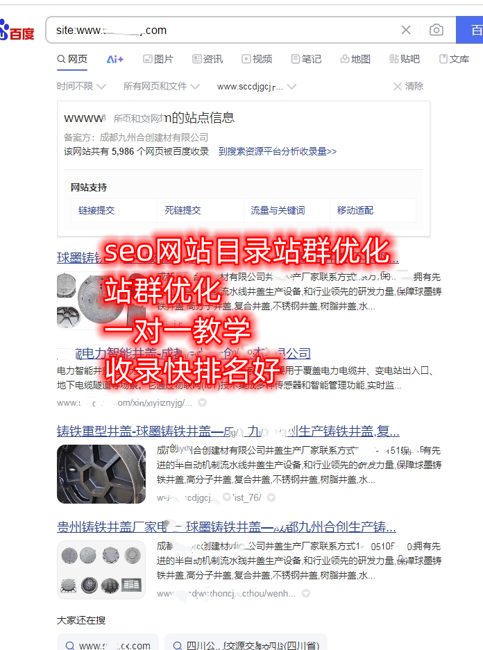 网站收录关键词排名优化百度站群优化一对一指导收录快排名好！