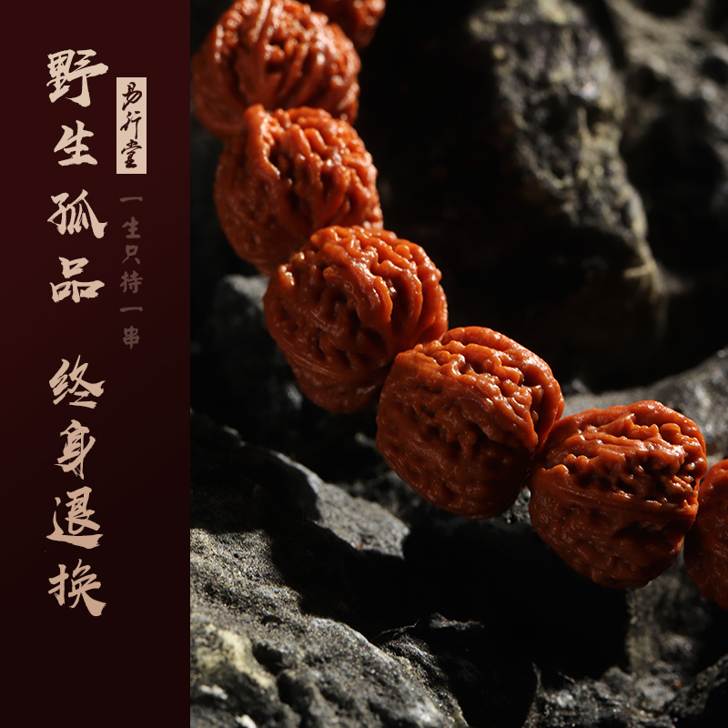 易行堂野生小核桃手串文玩单圈