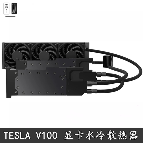 BykskiTeslaV10032G水冷散热