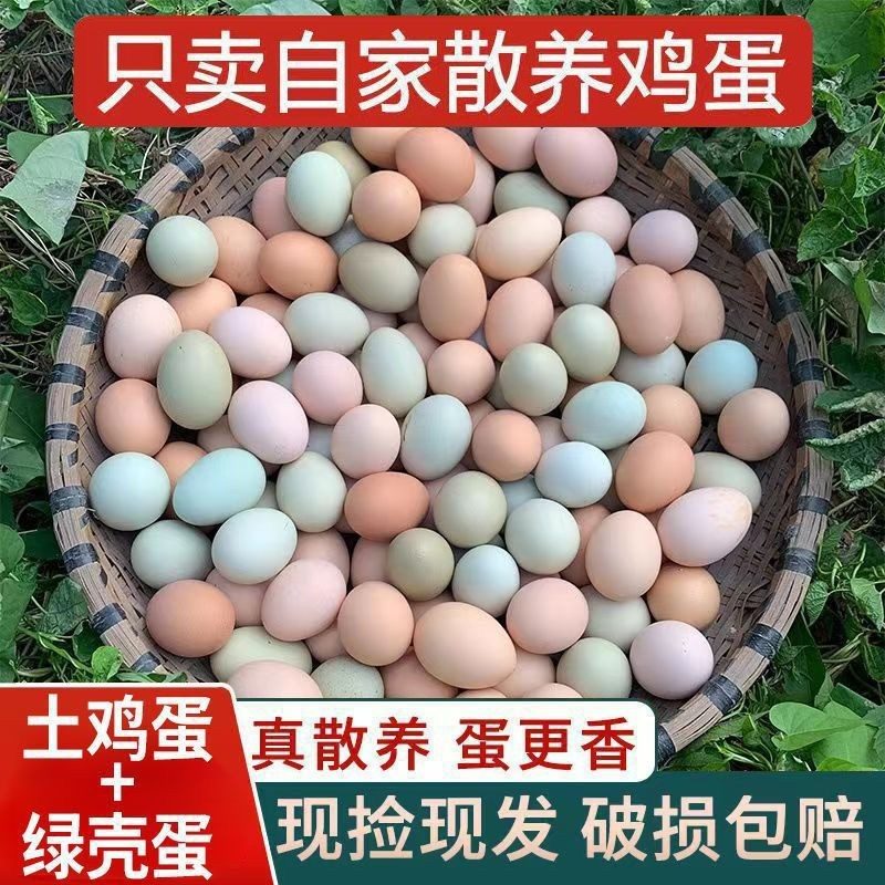 50枚整箱土鸡蛋乌鸡蛋混合装30正宗土鸡蛋散养鸡蛋放养新鲜现捡