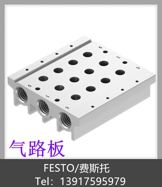 费斯托 FESTO 气路板 VABM-L1-14S-G14-8 566624 现货