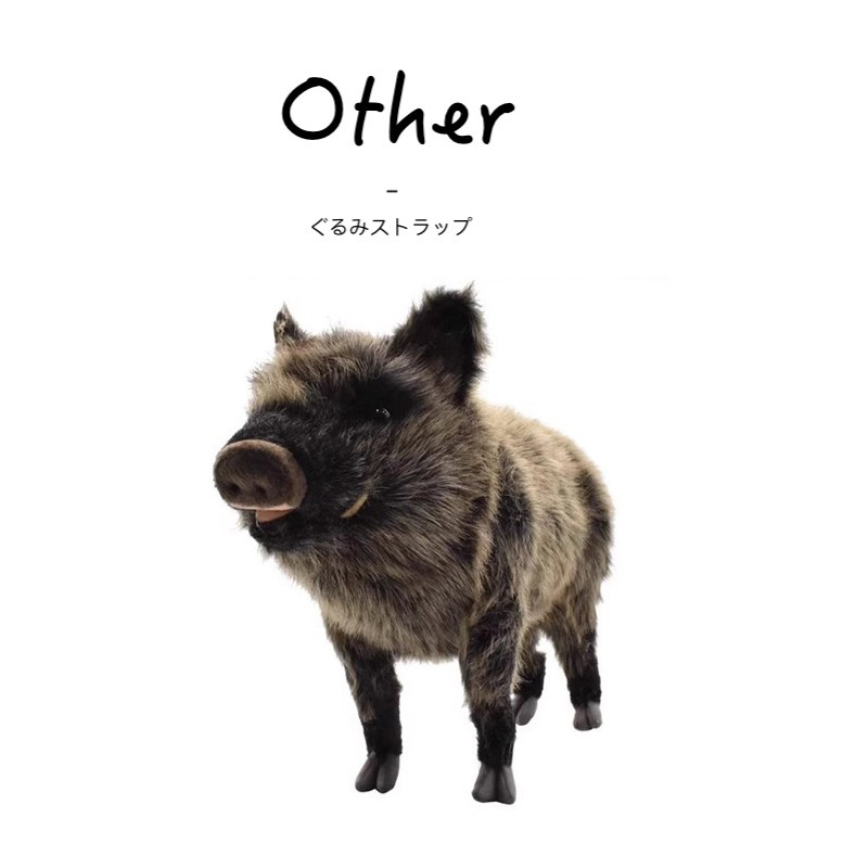 hansa日本正版野猪公仔