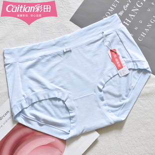 彩田双色纱中腰女内裤 抑菌透气包臀 15899莫代尔10A石墨烯三角裤