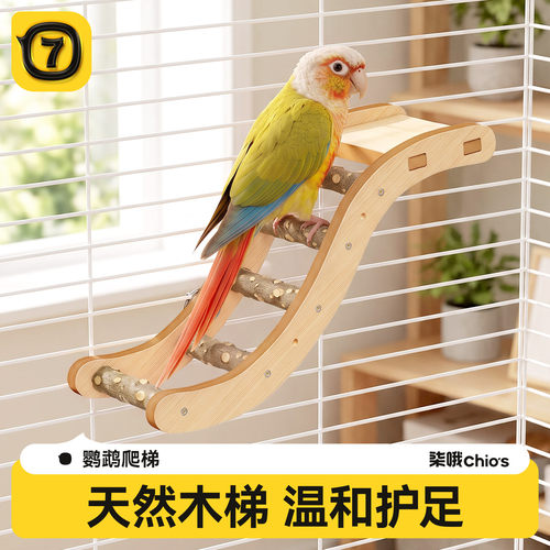 柒哦鹦鹉花椒木s型攀爬站架平台