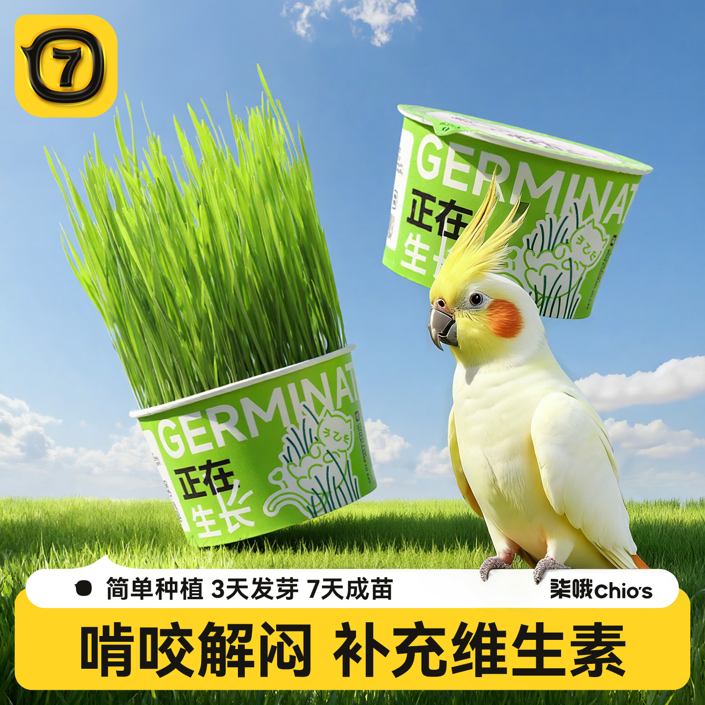 鹦鹉麦芽草鸟零食促进消化解闷