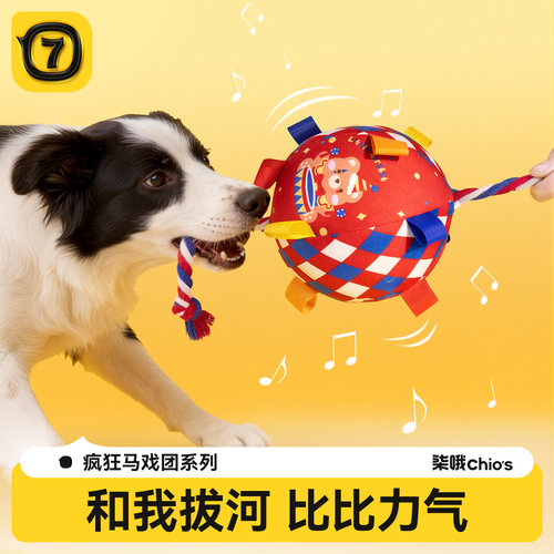 新款狗狗玩具球发声绳结球互动