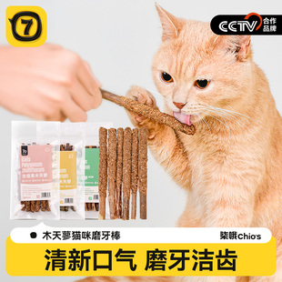 木天蓼猫咪磨牙棒猫薄荷洁齿幼猫啃咬逗猫棒换牙期用品猫零食玩具