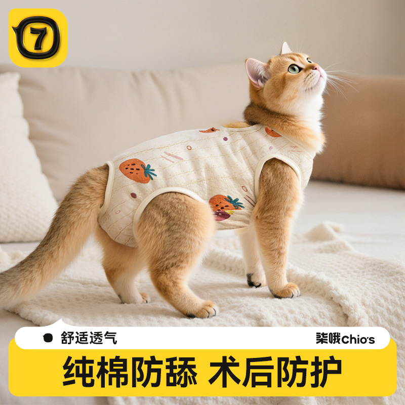 猫咪绝育服母猫手术服衣服透气纯棉服断奶服公猫防舔术后宠物猫猫