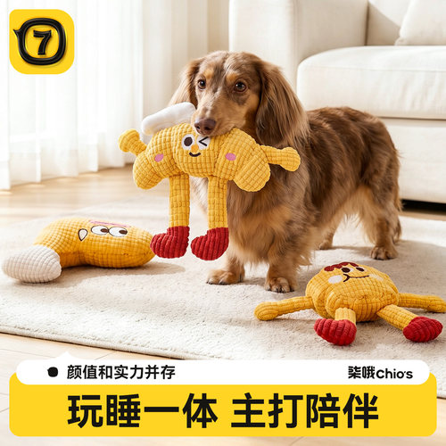 狗狗玩具发声响纸磨牙耐咬解闷