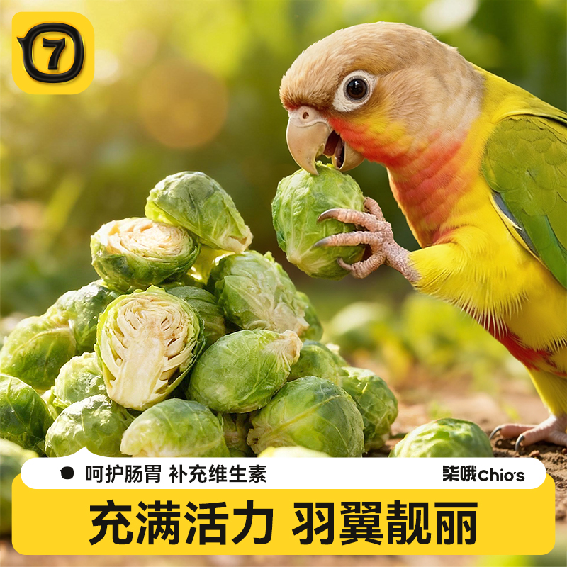 【央妈推荐】营养冻干孢子甘蓝