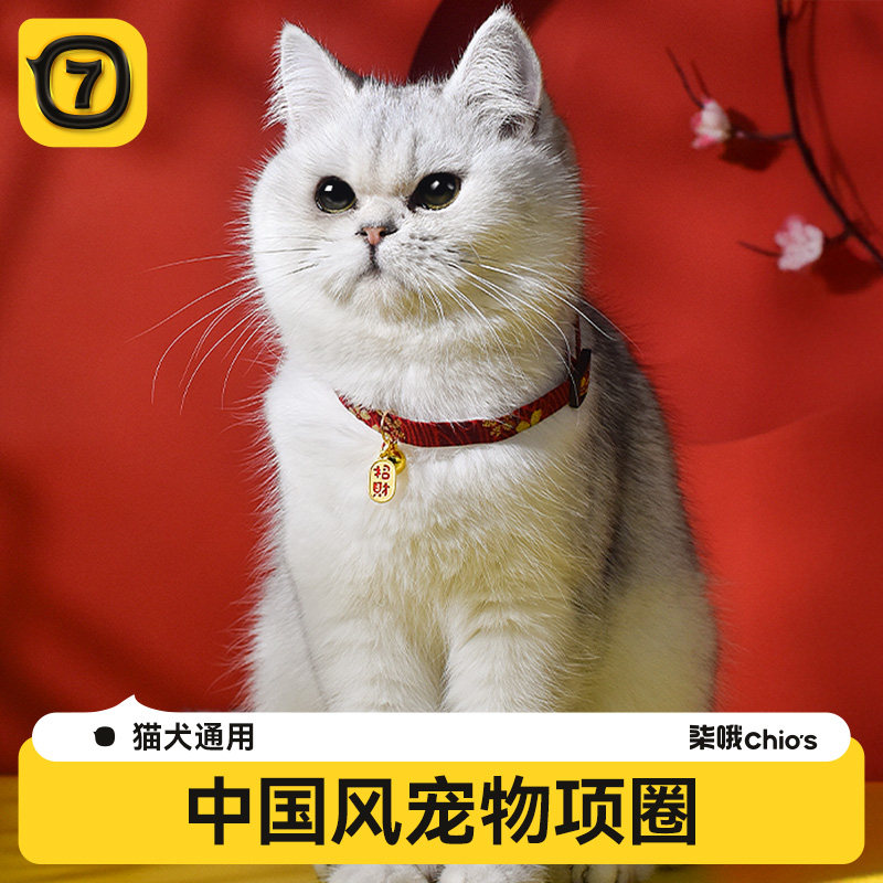 猫咪项圈猫铃铛新年围脖狗狗脖圈脖子饰品猫牌防走丢宠物装饰项链