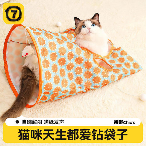 【响纸发声】猫钻袋子自嗨解闷