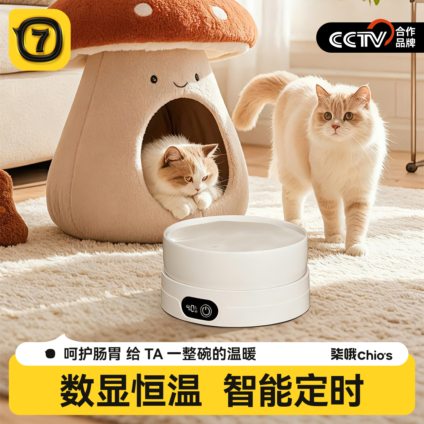 恒温饮水机酸奶机猫咪加热水碗