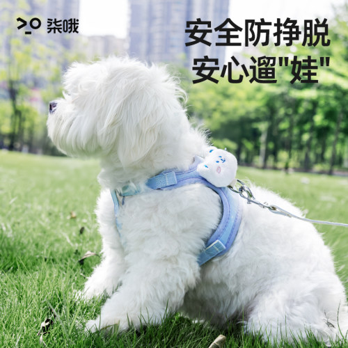狗狗牵引绳小型犬专用胸背带泰迪比熊幼犬遛狗绳宠物背心式狗链子