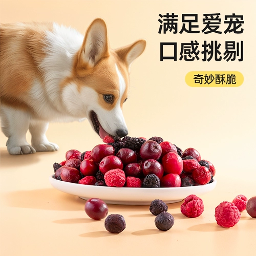 Сублимированная награда для тренировок, домашний питомец, клюква