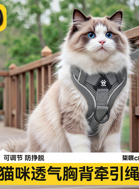 猫牵引绳防挣脱外出专用胸背可调节不勒脖溜猫绳幼猫背带遛猫神器