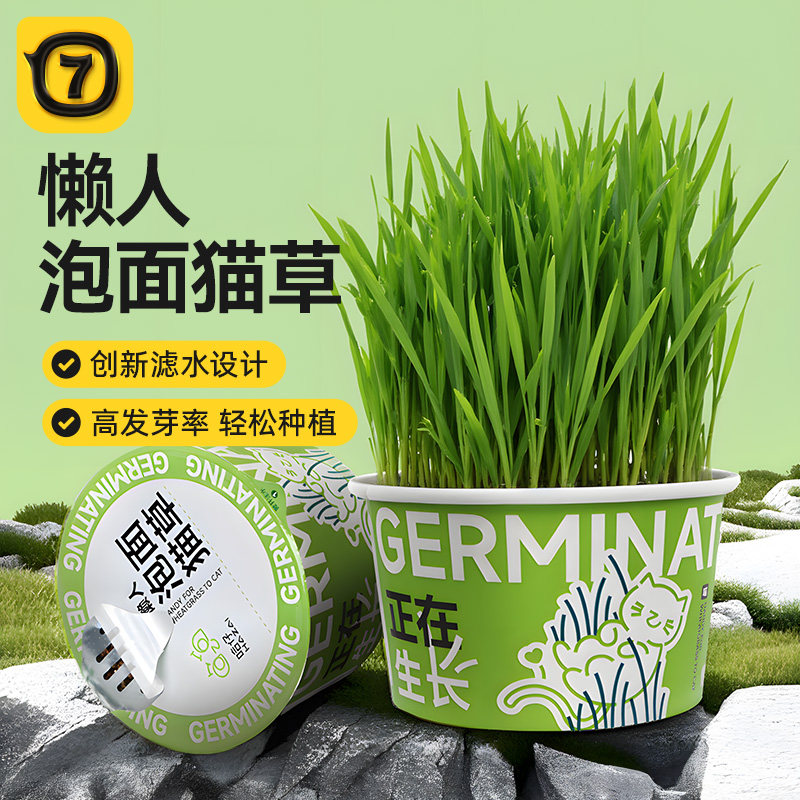 柒哦猫草盆栽懒人泡面猫草专用化毛水培盒狗猫草自种猫咪零食冻干