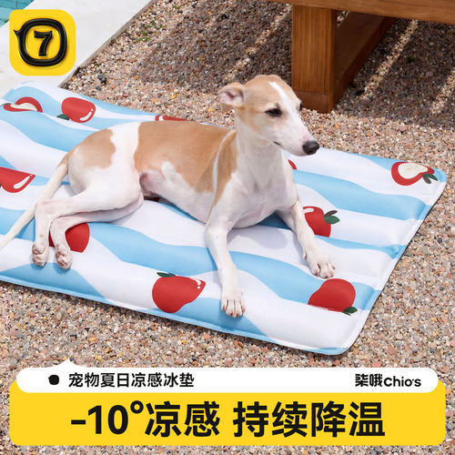 【新一代冰窝】柒哦狗狗冰垫