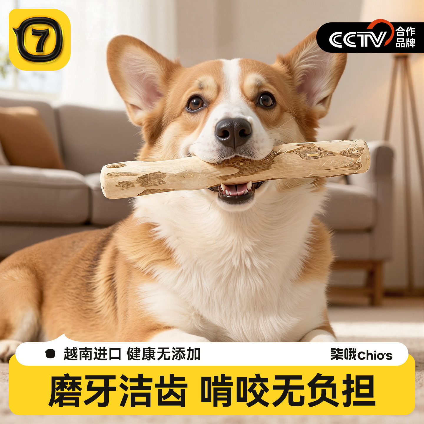 柒哦狗狗磨牙咖啡木棒中大型犬耐咬洁牙棒宠物小狗比熊洁齿防拆家,宠物/宠物食品及用品,狗风干零食/肉干/肉条,淘宝优惠券,粉丝福利购,淘宝优惠卷