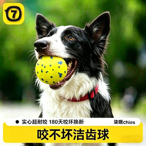 咬不坏的狗狗玩具球爆爆球耐咬