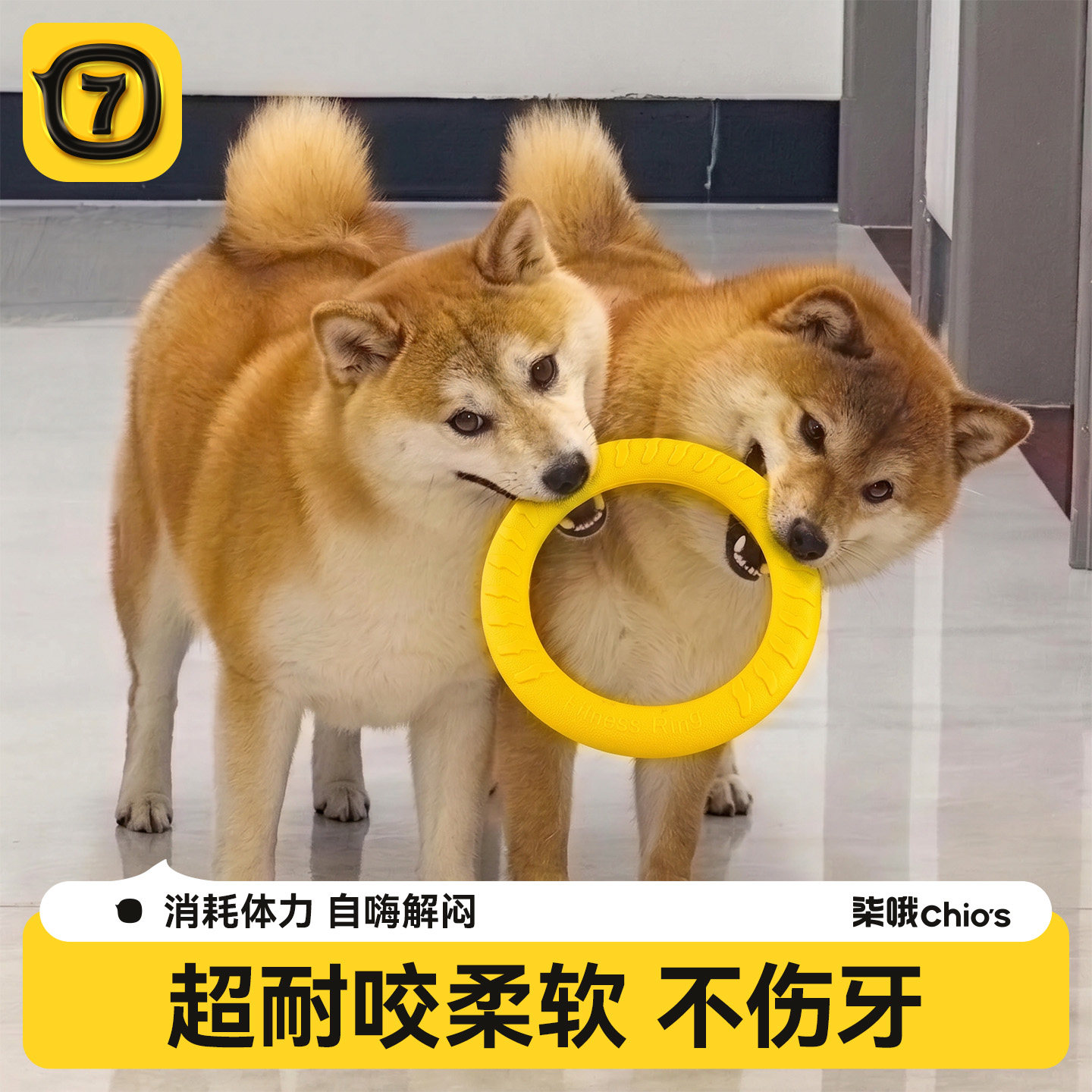 狗狗玩具磨牙耐咬飞盘圆环拉力球图片