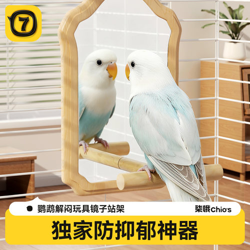 【超大号】鹦鹉镜子自嗨解闷玩具