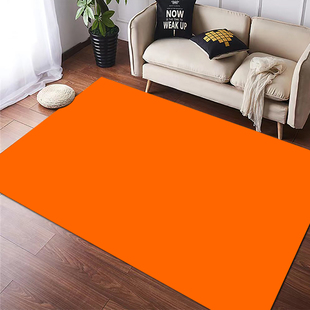 女主播直播间专用地毯橙色红色拍照背景纯色黄色灰色紫色蓝色防滑