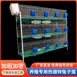 养殖笼9位12位种兔笼免清粪兔子笼子母笼加粗加密热镀锌子母兔笼