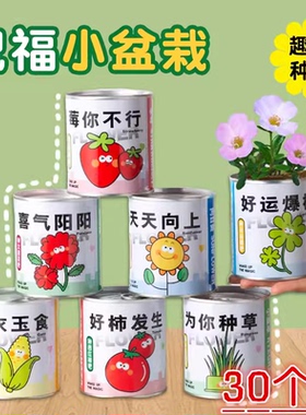 儿童励志种植小盆栽 幼儿园开学季小礼品创意手工DIY植物罐头盆栽