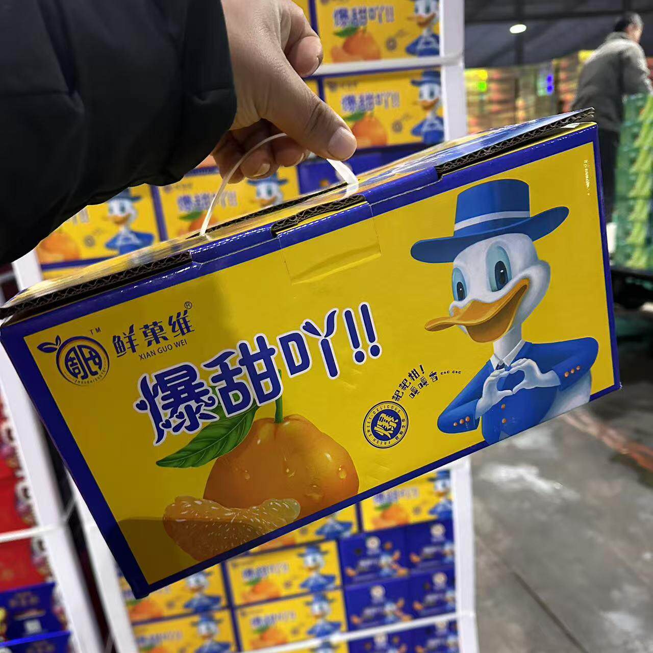 沈阳发货鲜果维特级耙耙柑新鲜礼盒橘子甜当季水果丑柑桔辽宁包邮