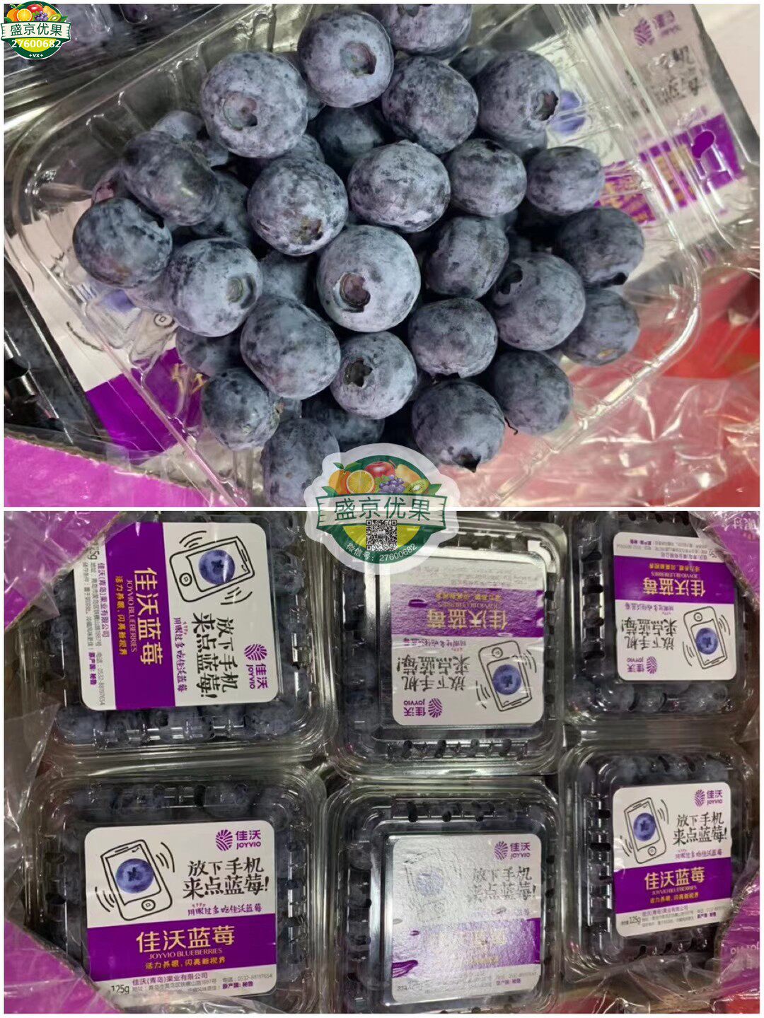 沈阳佳沃蓝莓鲜果紫标金标纯甜新鲜宝宝水果一件12盒辽宁省包邮