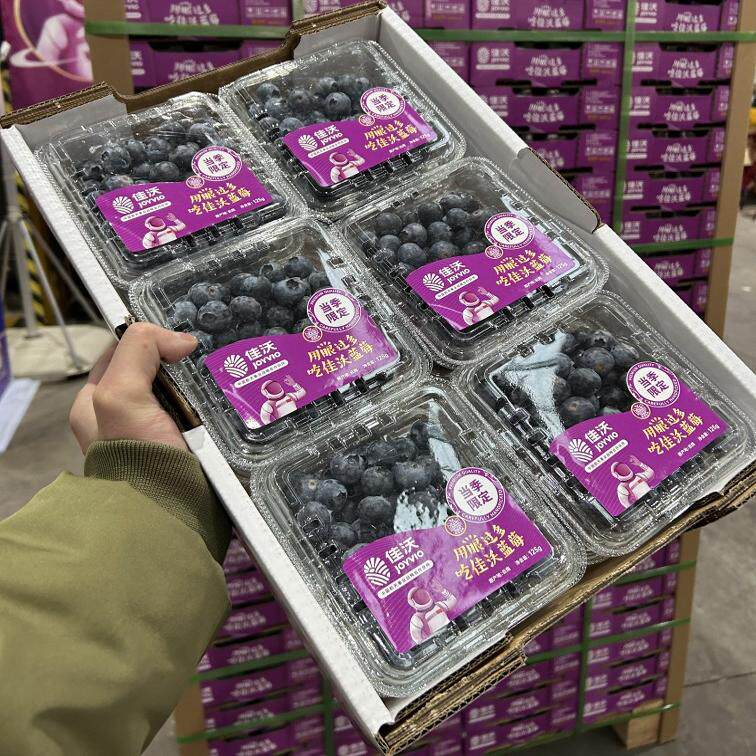 沈阳佳沃蓝莓限量鲜果紫标纯甜新鲜宝宝水果一件12盒辽宁省包邮