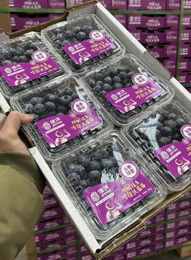 沈阳佳沃蓝莓限量鲜果紫标纯甜新鲜宝宝水果一件12盒辽宁省包邮