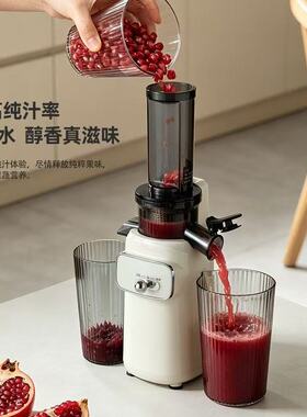 Juice extractor, small multifunctional juice extractor, frui