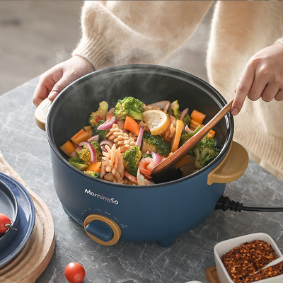 Electric Frying Pot Pan Cooking Hot Rice Cooker  Wok Steamer