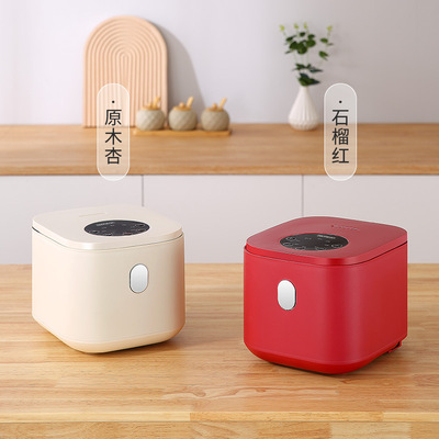 Mini rice cooker with rice soup separation for 2-3 people