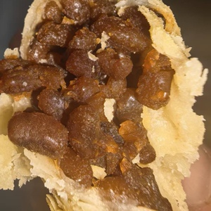 正宗手工陕西蒲城特产传统糕点