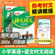 26万唯小白鸥小学语文阅读训练绿版 语文时文同步阅读理解专项训练三四五六年级语文书小升初名校真题同源精讲精练万维小白鸽小白欧
