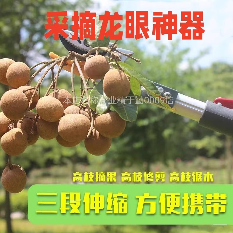 多功能伸缩剪龙眼专用剪刀