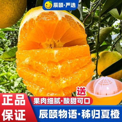 辰颐物语严选秭归夏橙伦橙子新鲜水果应季现摘产地直发手剥甜橙子