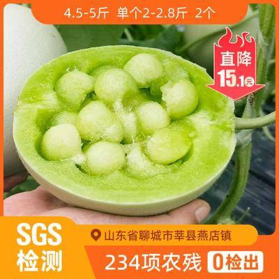 辰颐物语优选玉菇甜瓜4.5-6.5斤2个装新鲜采摘应季水果包邮坏果赔